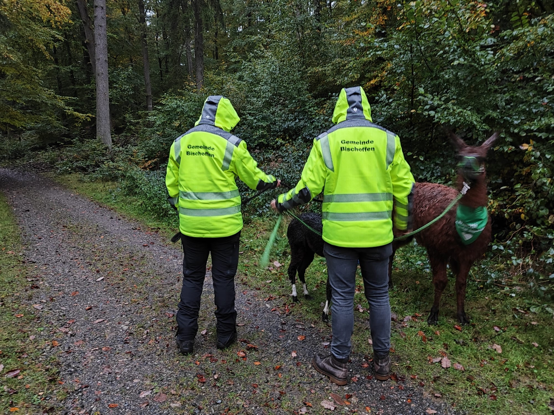 Mitarbeiter der Gemeinde im Gespräch