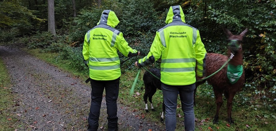 Mitarbeitergespräch