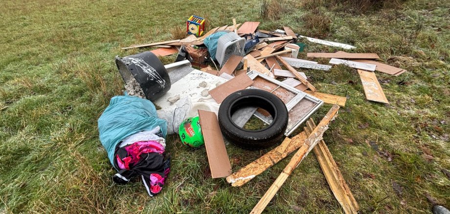 Illegal in der Landschaft entsorgter Müll