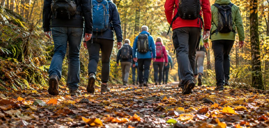 Waldbegehung 2026 Ein Waldweg führt zwischen Bäumen hindurch
